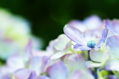 雨待ち