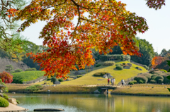 紅葉越しの唯心山