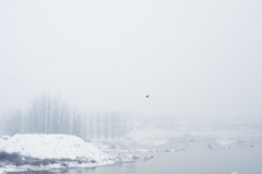 2013·winter