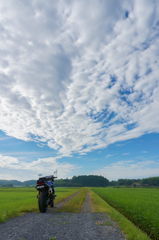 道と雲とバイクの向かう先
