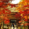 晩秋の平林寺