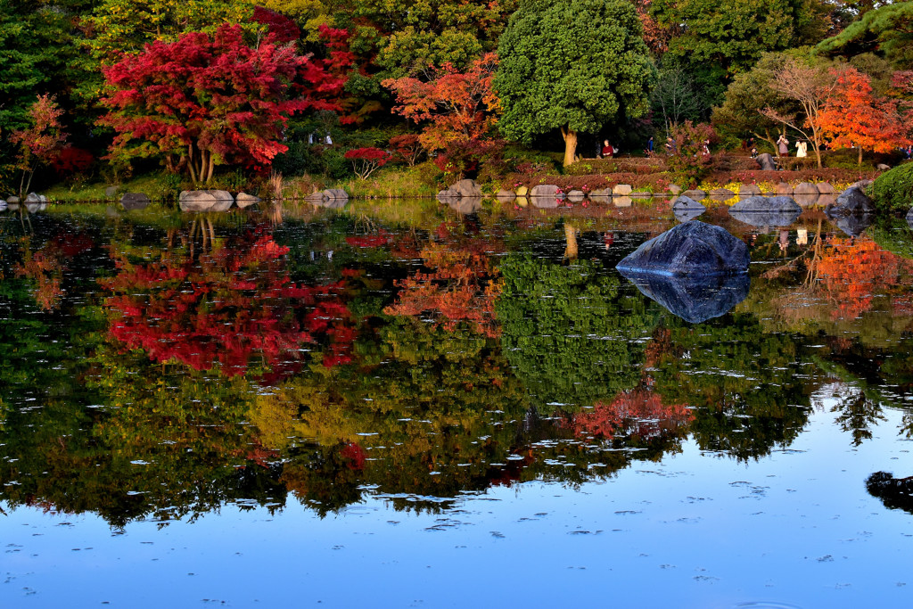 昭和記念公園