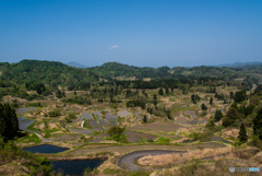 星峠の棚田