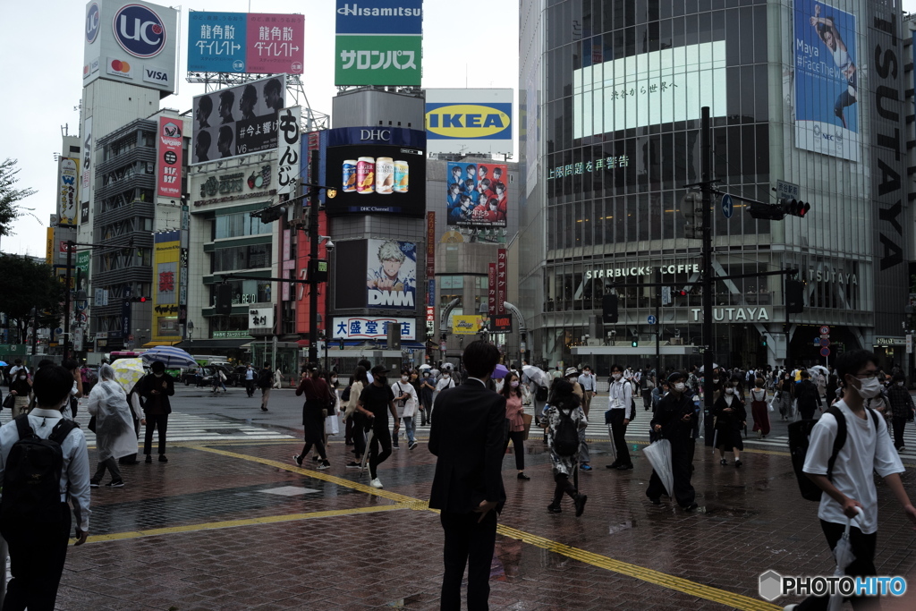 小雨の中