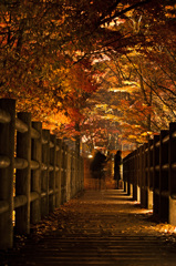 恋人橋