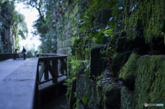 猿島04