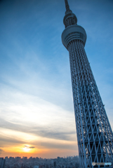 スカイツリーと夕日