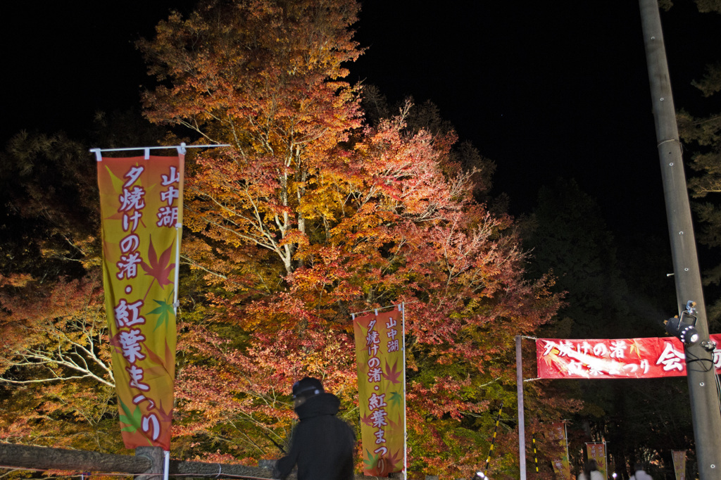 紅葉まつり