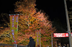 紅葉まつり