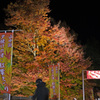 紅葉まつり