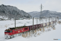 日本最長貨物列車の重要な任務（2）