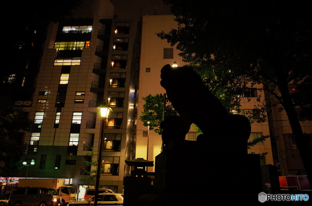 新宿スナップ　花園神社の狛犬