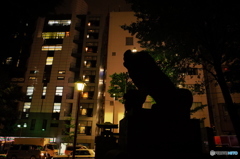 新宿スナップ　花園神社の狛犬