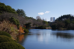 冬の風景　C-PLフィルタ使用