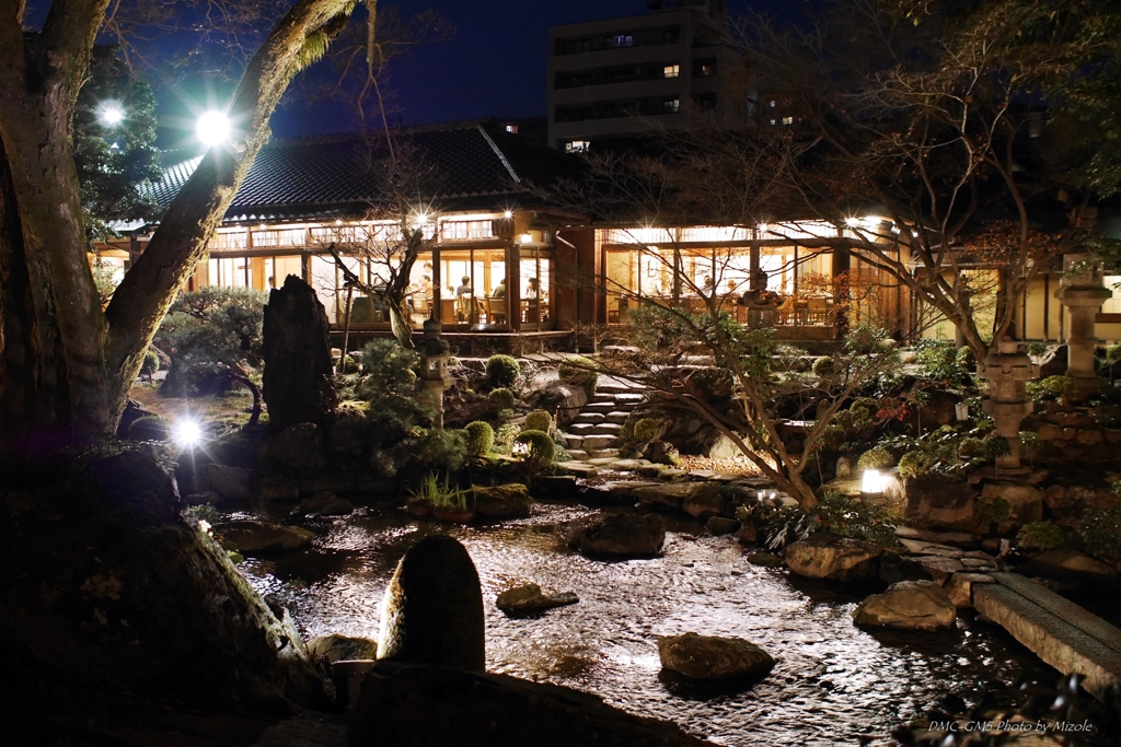 中庭の夜