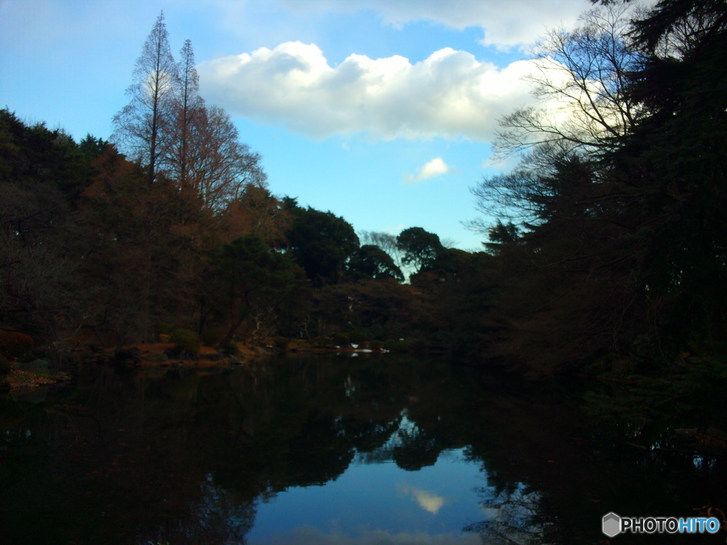 池の畔