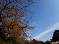 P1030963
