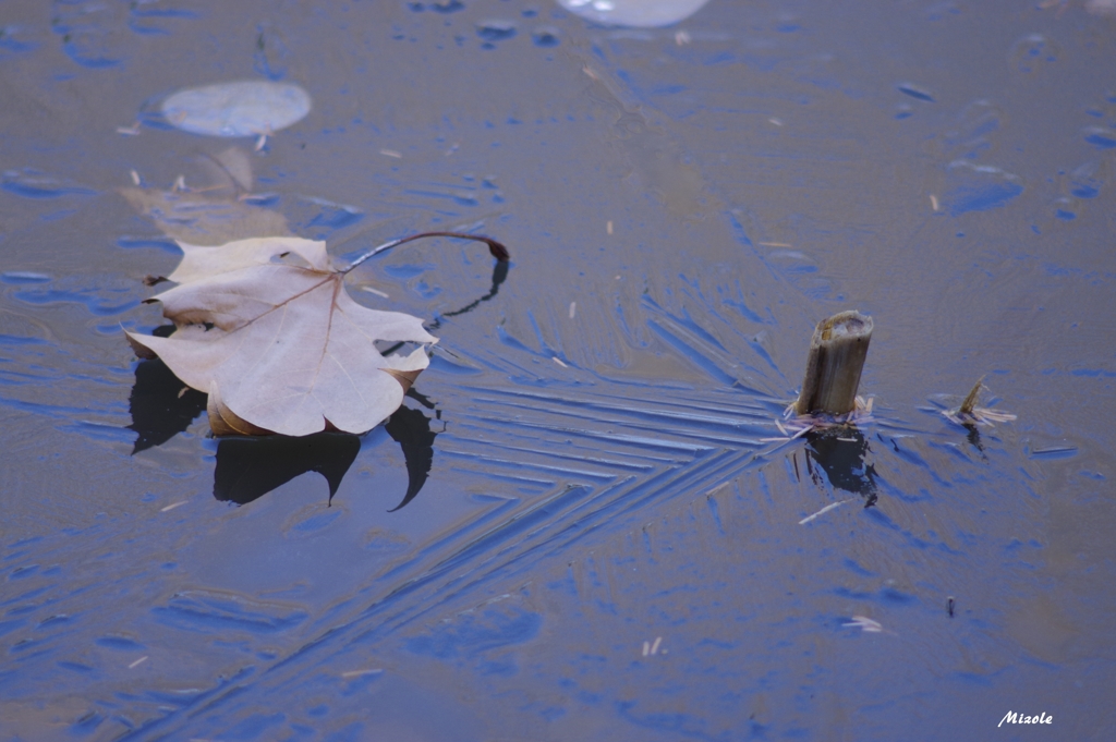 氷池