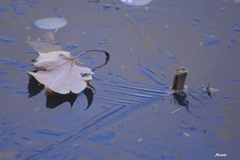 氷池