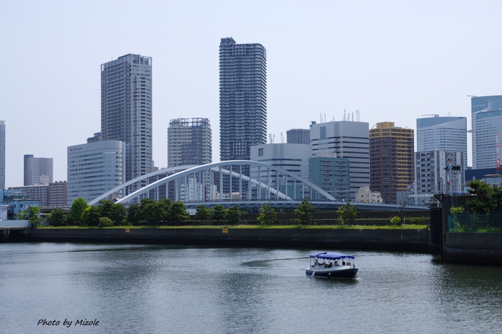 海沿いの公園から