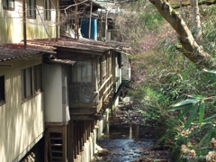 川沿いの建物