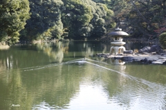 池の風景