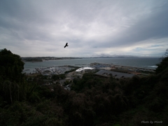 江ノ島から