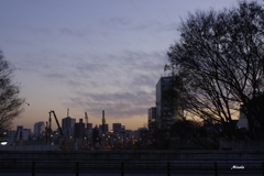新国立競技場建設風景（夕景）