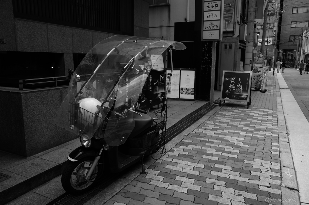 ルーフシールド