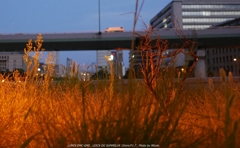 大阪中之島散歩０４くろっぷ