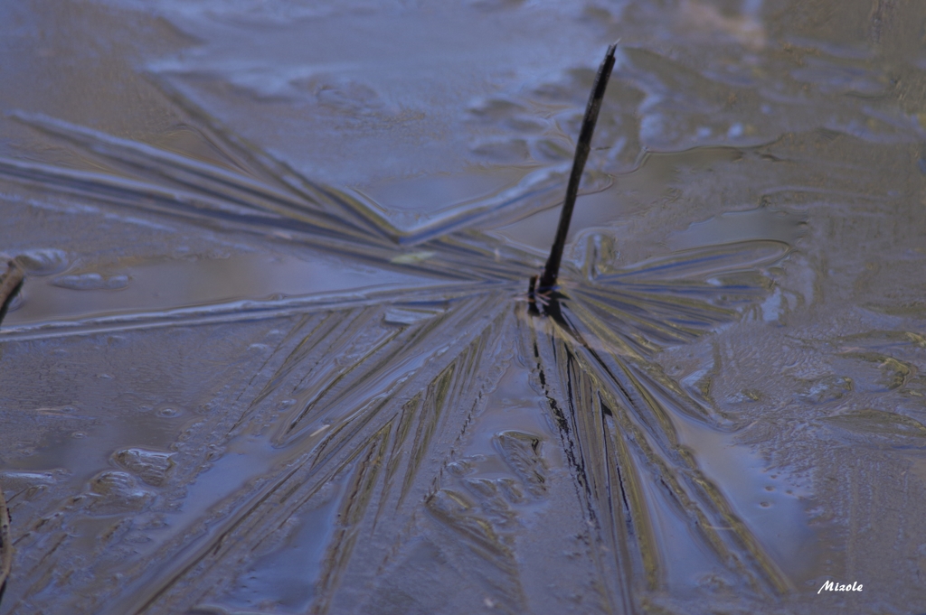 氷池２