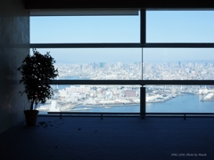 窓からの景色