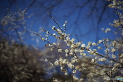 DSC00430