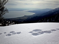 ウサギの足跡と琵琶湖の景色
