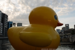 大阪中之島散歩０１