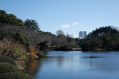 冬の風景　C-PLフィルタ不使用