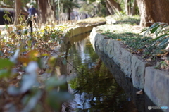 小水路