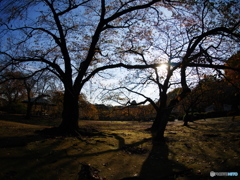 P1030966
