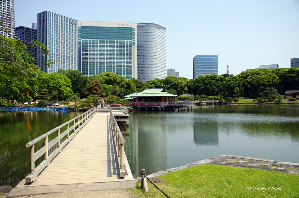 橋の向こうの茶屋