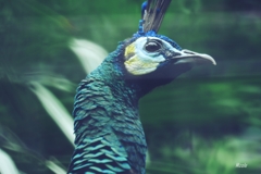 P1000864