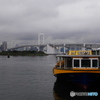 水上バスとレインボーブリッジ