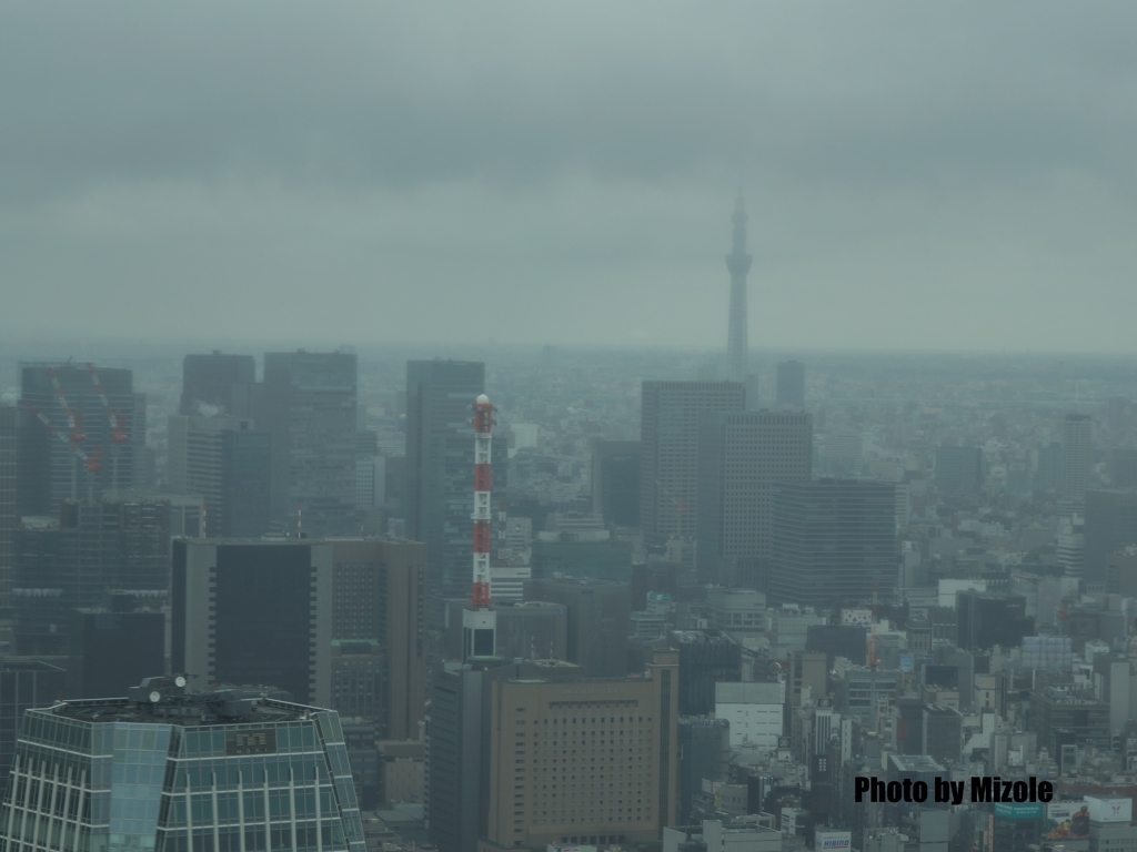 小雨に霞むスカイツリー