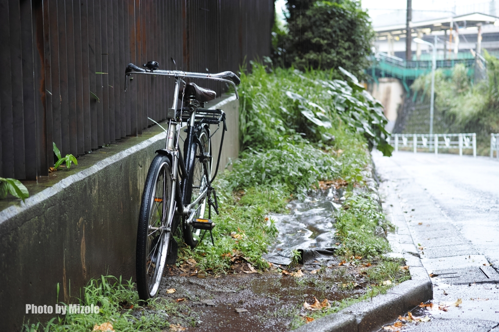 雨の日散歩