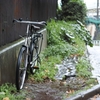 雨の日散歩