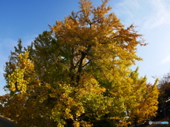 P1030970