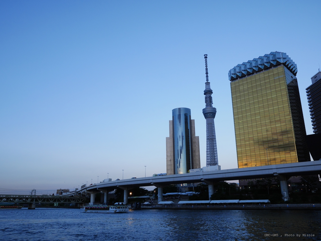 夕陽を映すビルと東京スカイツリー