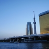 夕陽を映すビルと東京スカイツリー