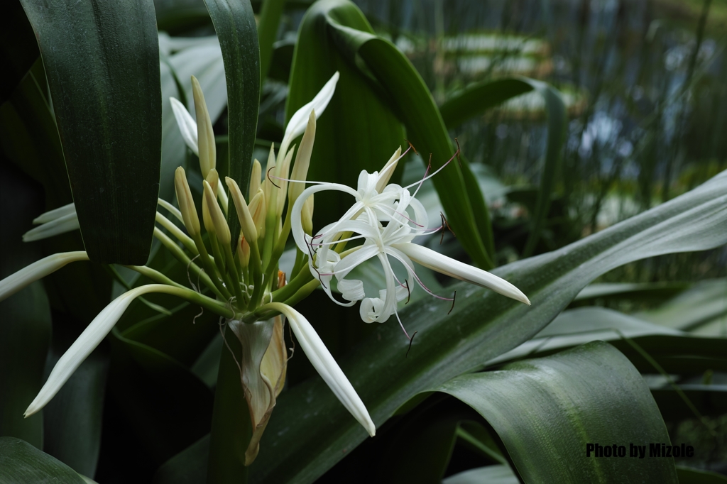 ディテール設定テスト