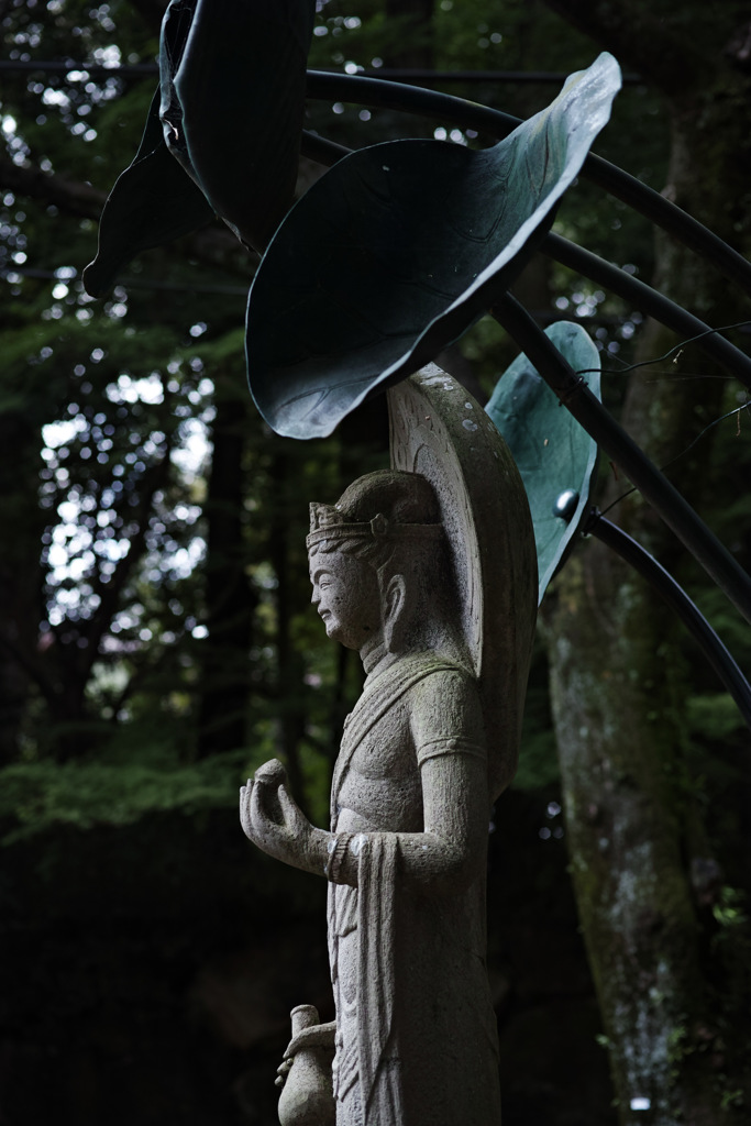 SDIM0982
