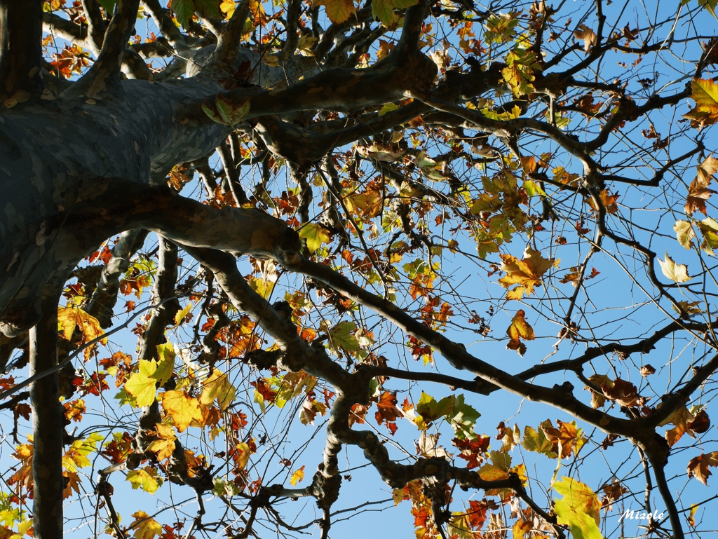 Let's look up